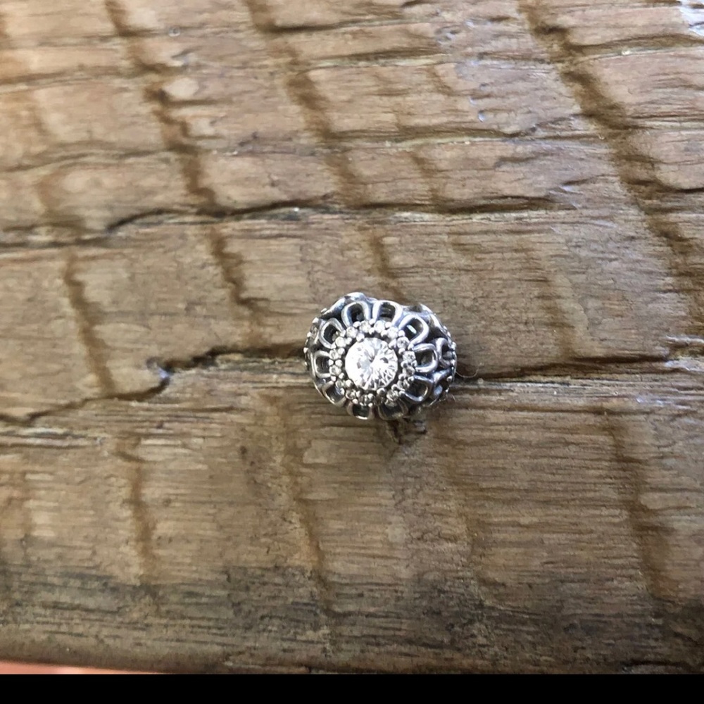 Pandora charm